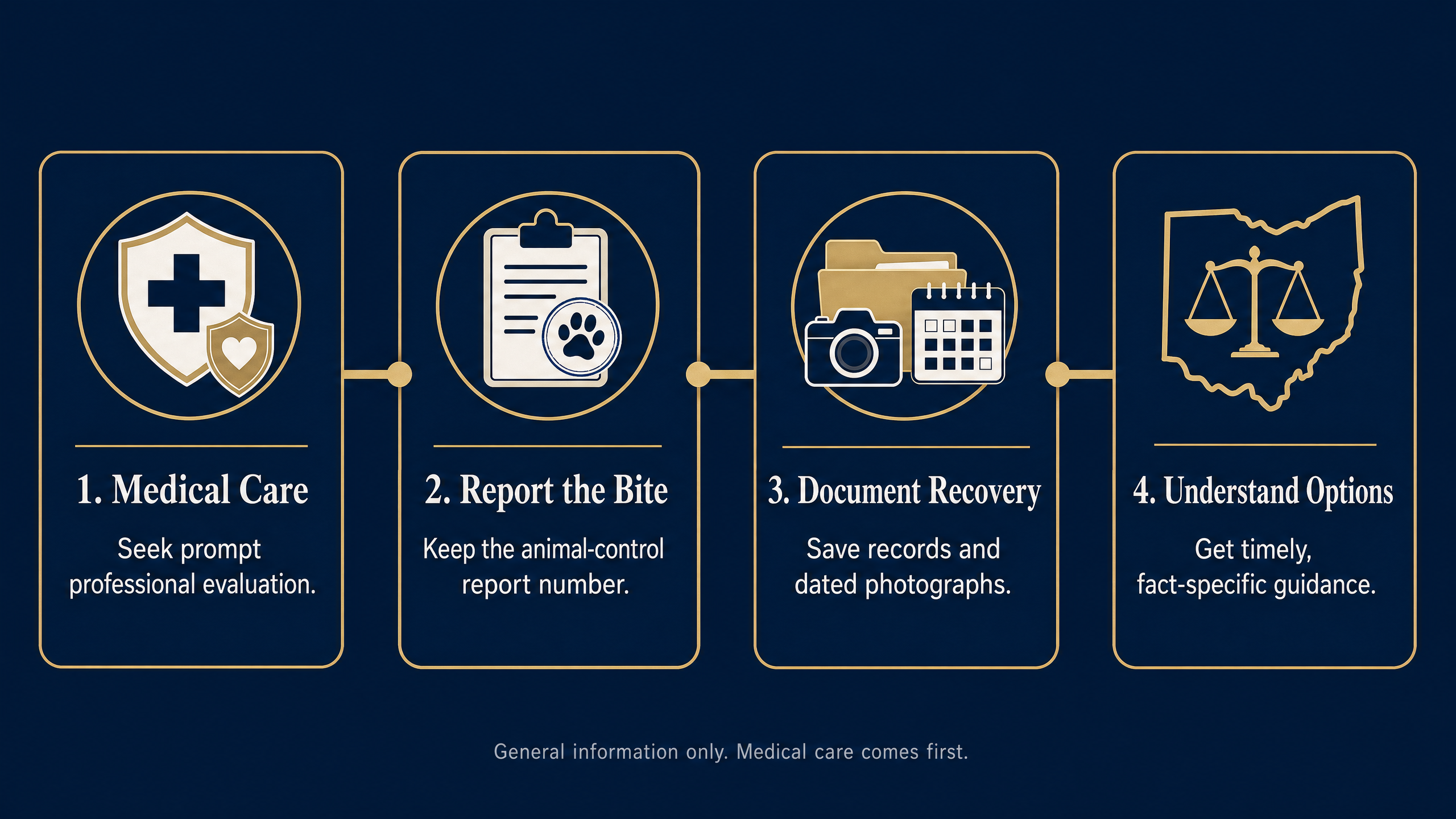 Four first priorities after a child dog bite: medical care, report the bite, document recovery, and understand options.