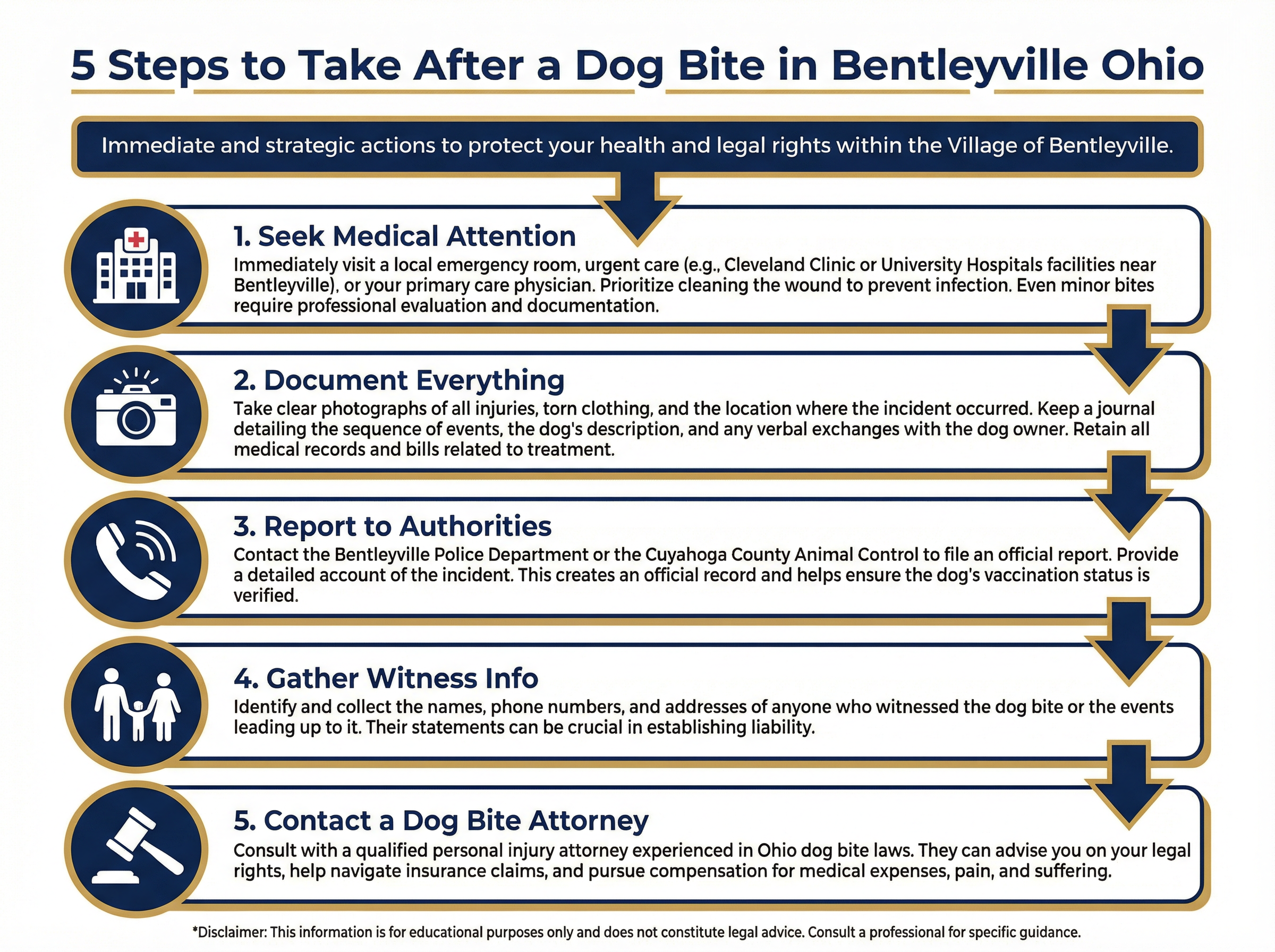 5 Steps to Take After a Dog Bite in Bentleyville Ohio