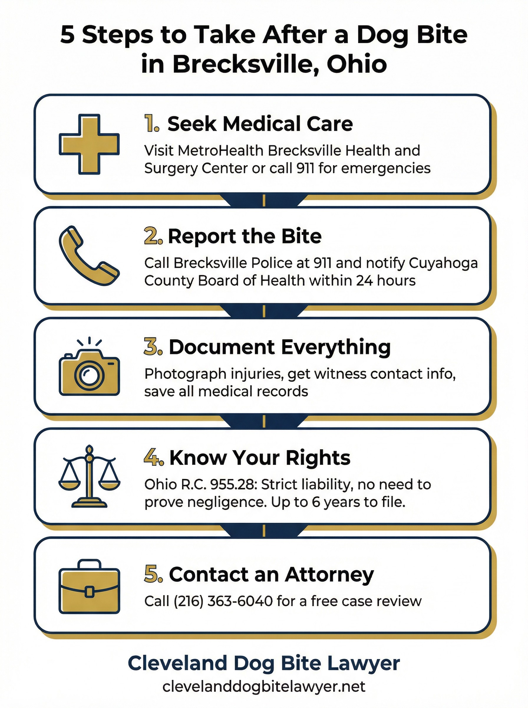 5 Steps to Take After a Dog Bite in Brecksville Ohio