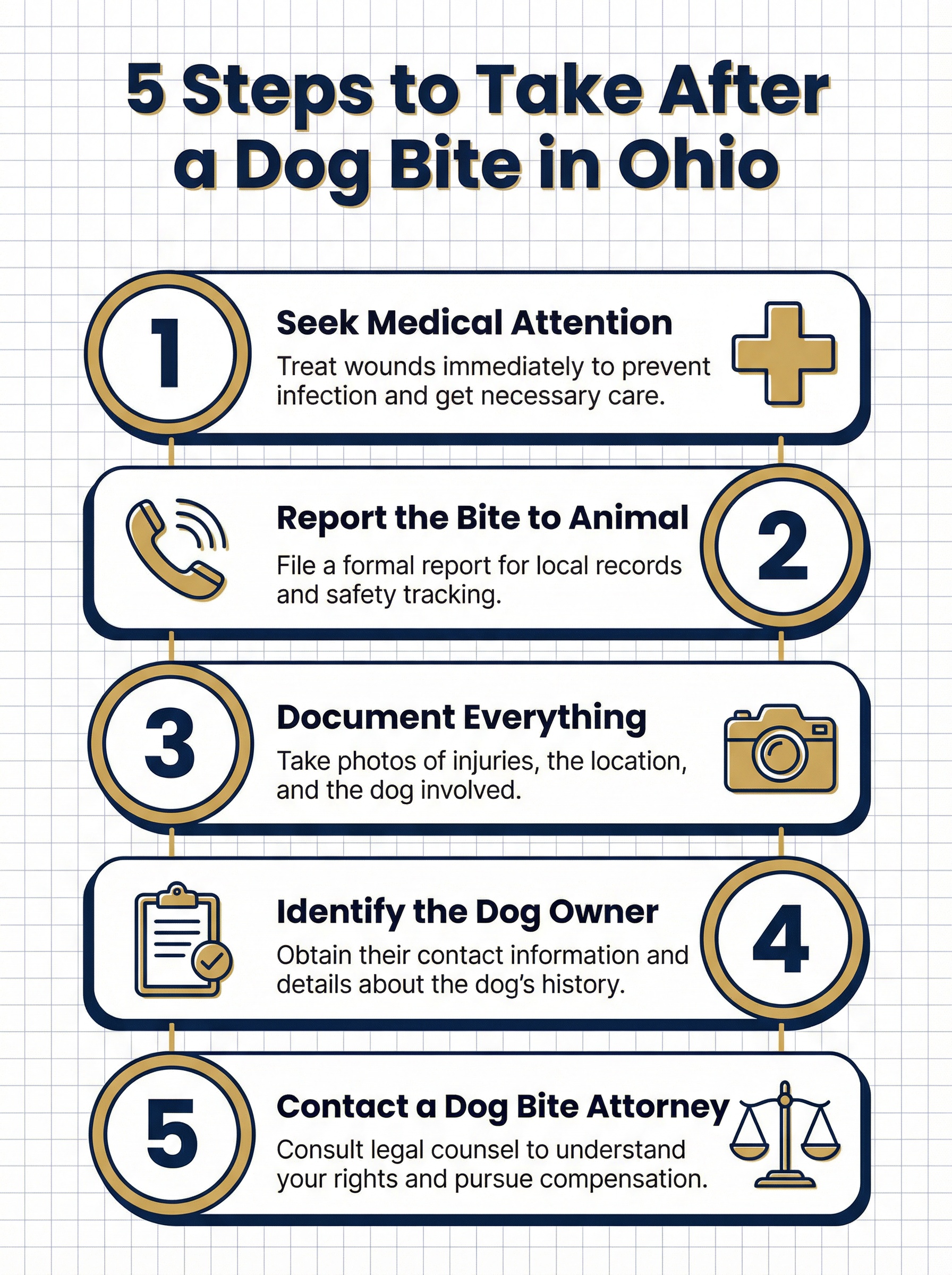 5 Steps to Take After a Dog Bite in Brook Park, Ohio