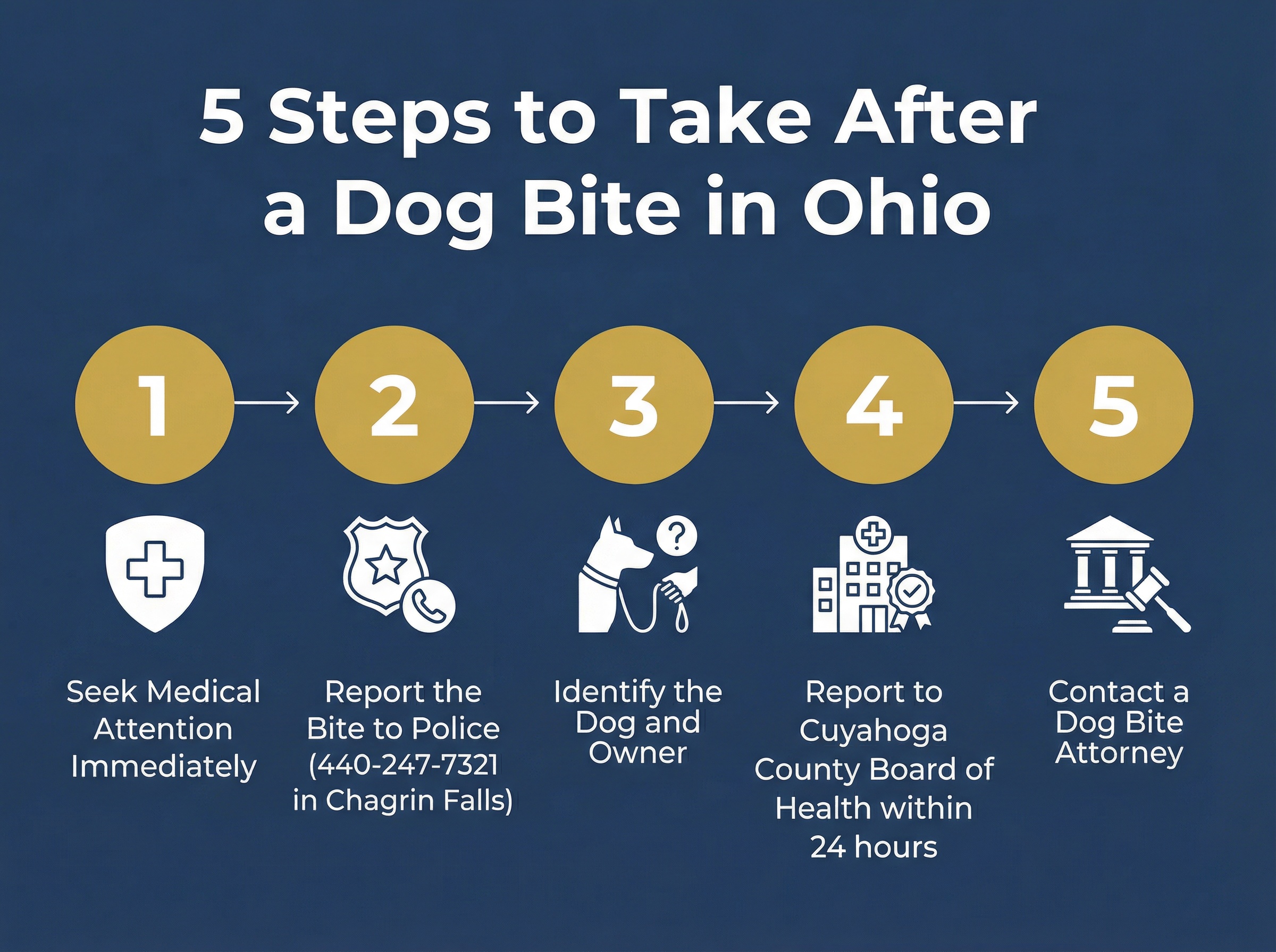 5 Steps to Take After a Dog Bite in Chagrin Falls Ohio