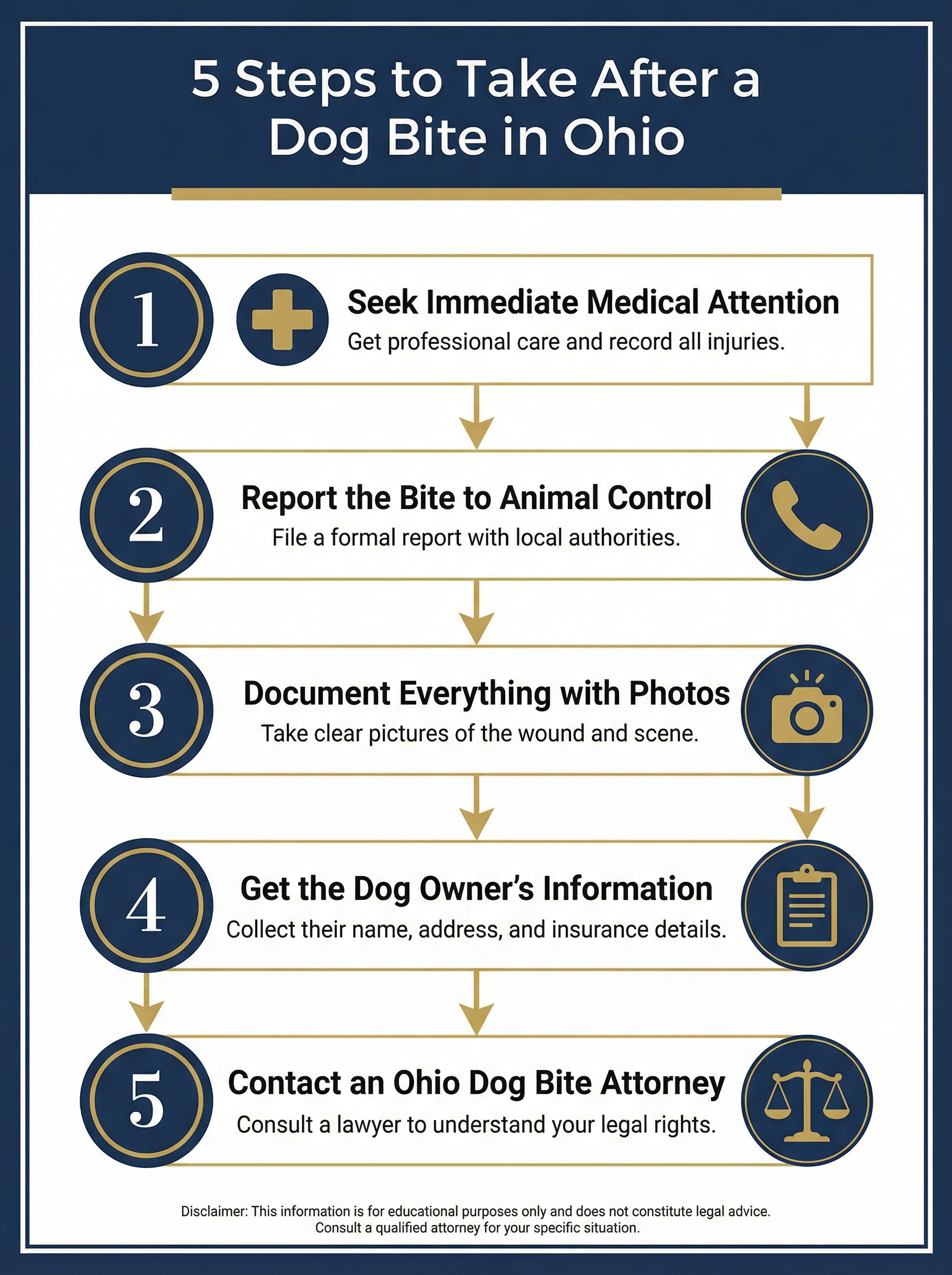 5 Steps to Take After a Dog Bite in Chagrin Falls Township Ohio