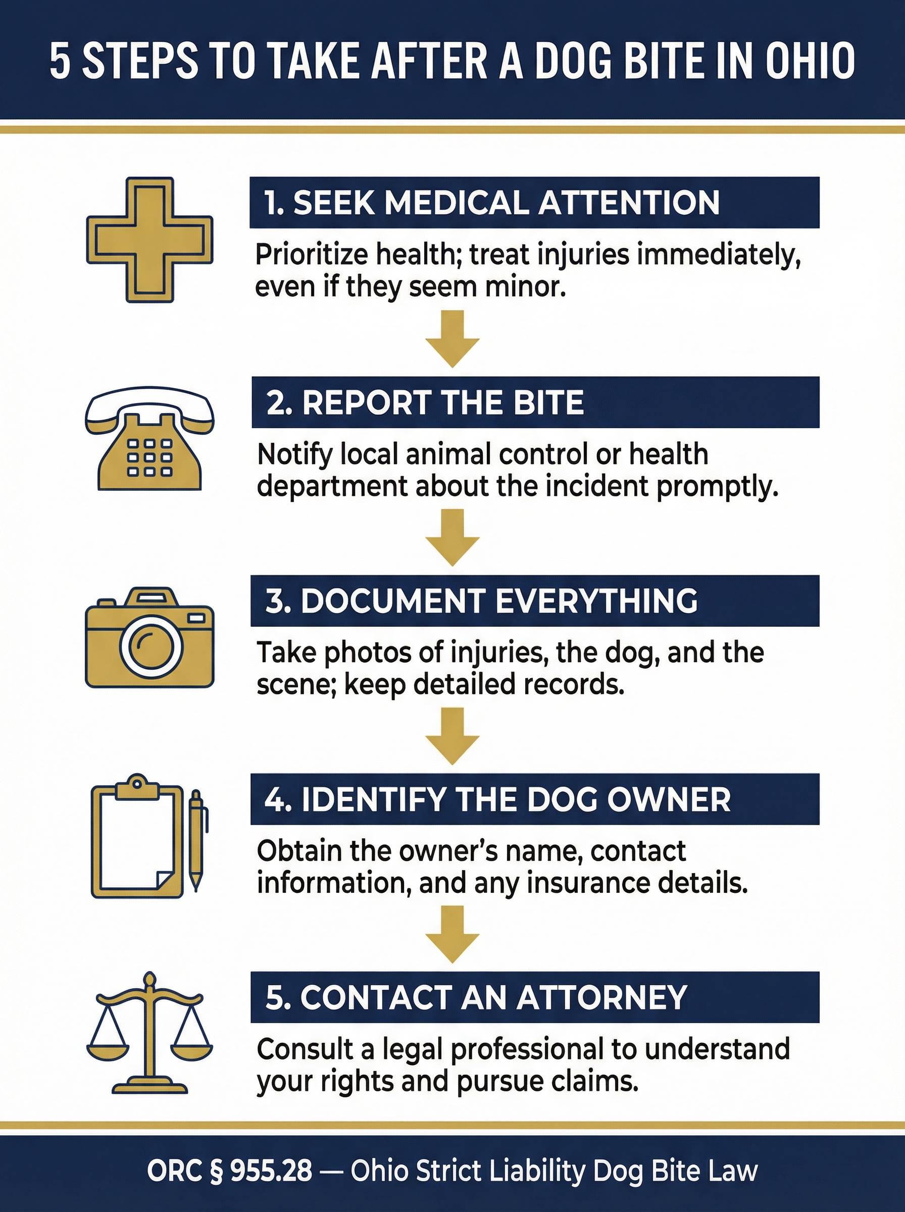 5 Steps to Take After a Dog Bite in Euclid Ohio