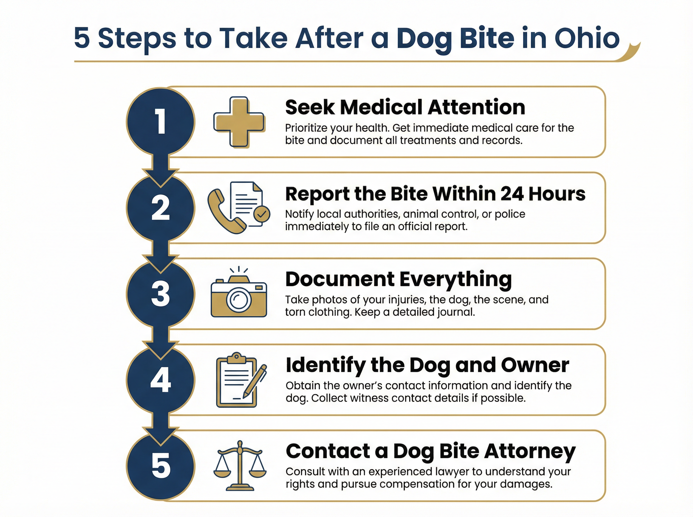 5 Steps to Take After a Dog Bite in Berea Ohio
