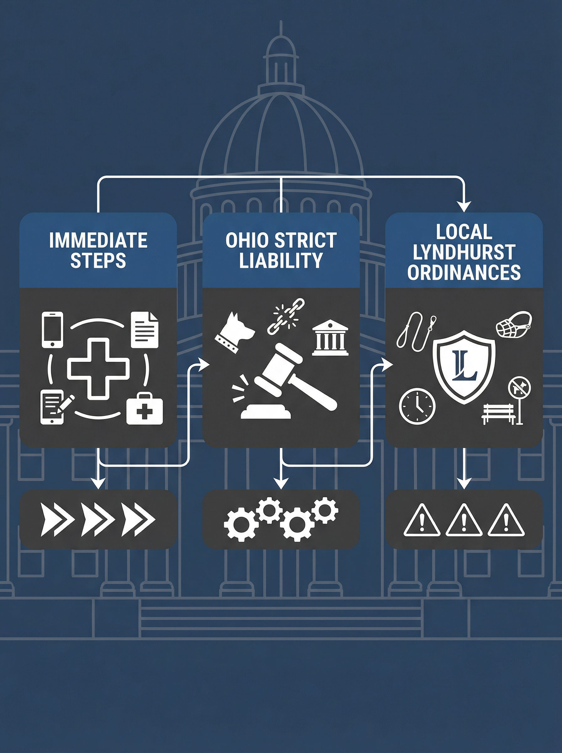 Infographic detailing steps after a dog bite and legal aspects in Ohio.