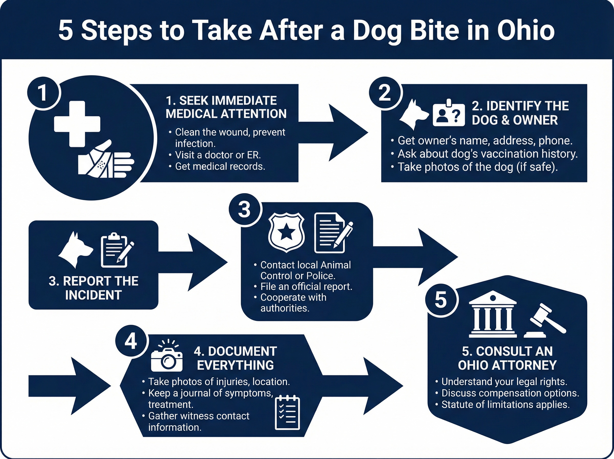 Infographic: 5 Steps to Take After a Dog Bite in Ohio
