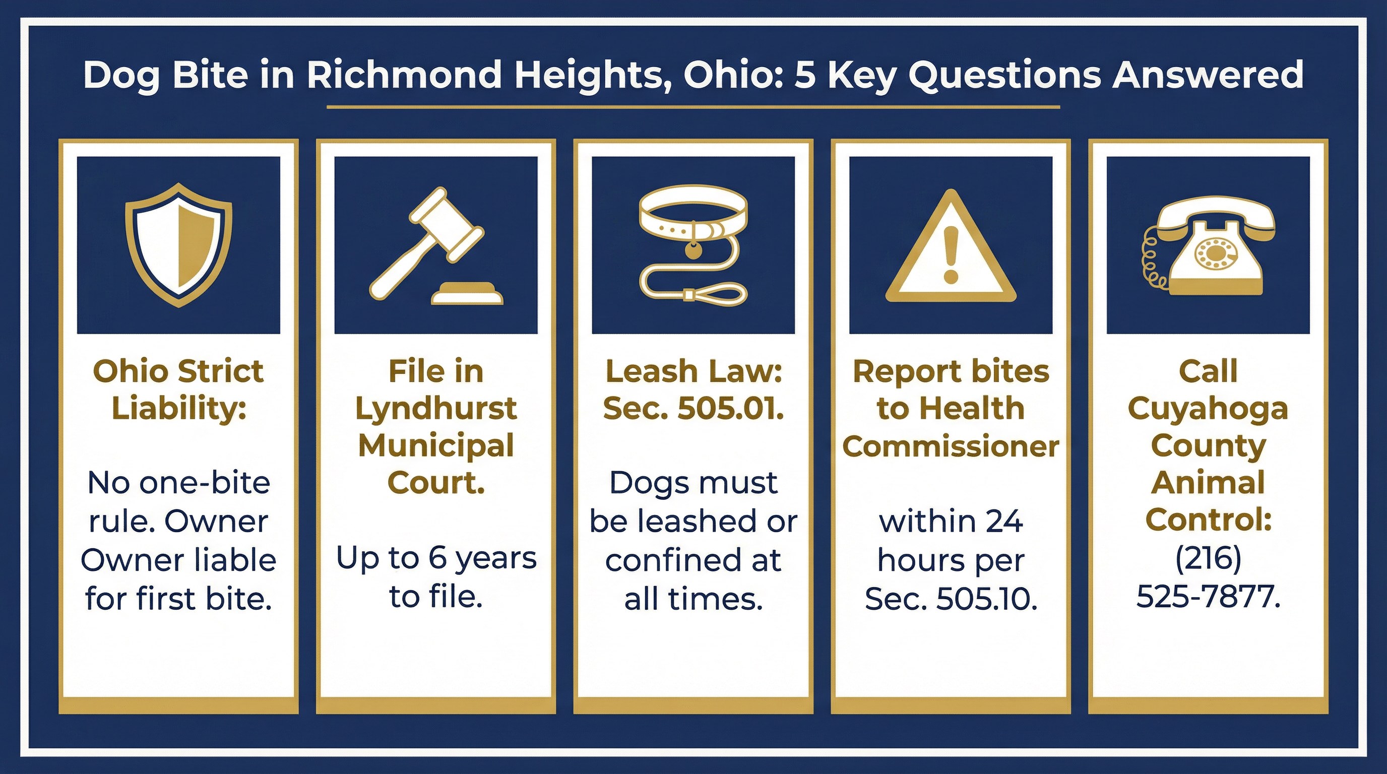 Infographic: 5 Key Questions Answered about Dog Bites in Richmond Heights