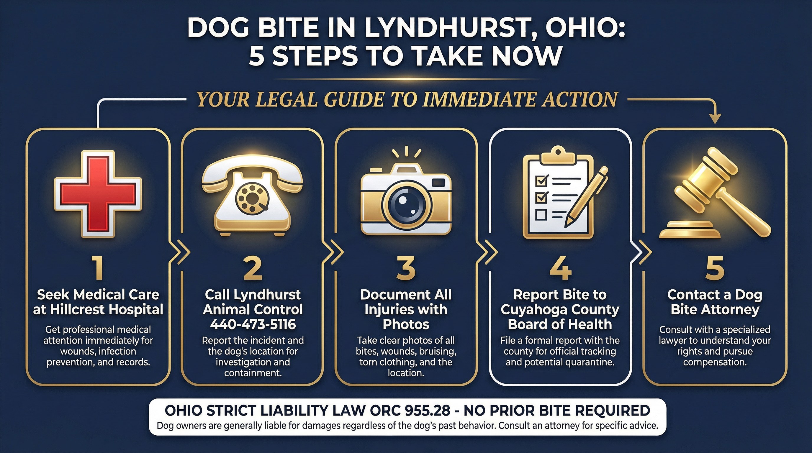 Infographic showing 5 steps to take after a dog bite in Lyndhurst Ohio including seeking medical care and contacting animal control